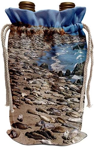 3drose danita delimont - כלבי ים - חותמות פיל על חוף הים, סן שמעון, קליפורניה - תיק יין