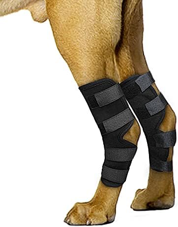 כלב הברך סד, 2 חבילה כלב רגל פלטה לגב רגל, מונע פציעות ונקעים, עוזר כלבים עם אובדן של יציבות שנגרם על ידי דלקת