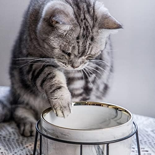 קרמיקה חתול קערת עם תמיכה, מוגבה לחיות מחמד מזין עם 2 מלמין קערות, הטיה מזון ומים חתול האכלת צלחת, להגן על חיות מחמד