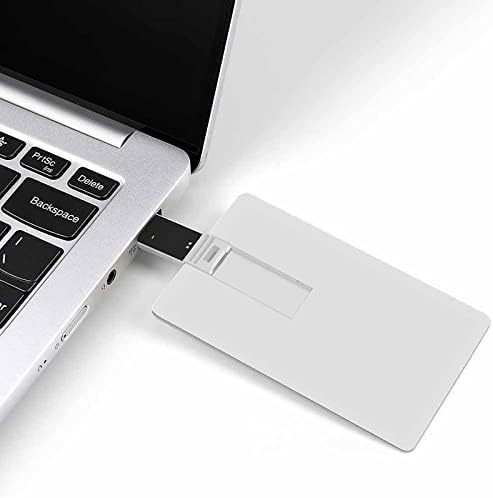 פרן דביבון כונן פלאש USB בכונן אשראי בהתאמה אישית של כונן זיכרון מקל מקש USB מתנות מקש USB