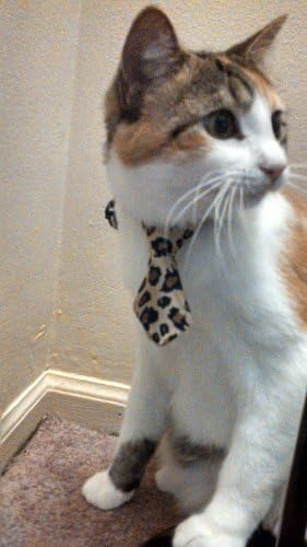מתנות דתיות צווארון בעלי חיים לחיות מחמד לבוש אביזר רב צבעוני הערה מוזיקלית כלב חתול מתכווננת עניבת משי מתכוונת