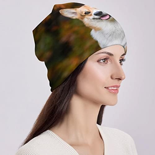 Baikutouan כלב יפה קורגי הדפס כובעי כפה לגברים נשים עם עיצובים כובע גולגולת